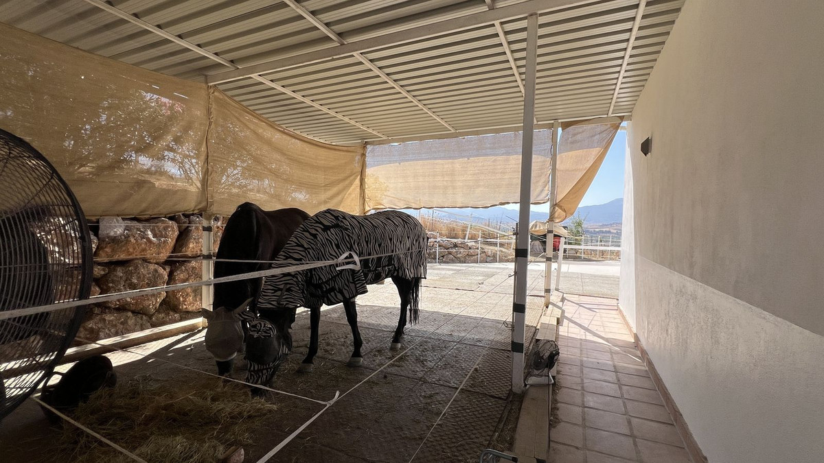Finca - Cortijo te koop in Coín | 6 slaapkamers H5120563