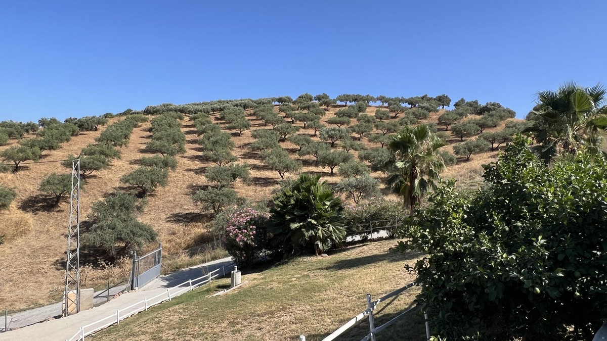 Finca - Cortijo te koop in Coín | 6 slaapkamers H5120563