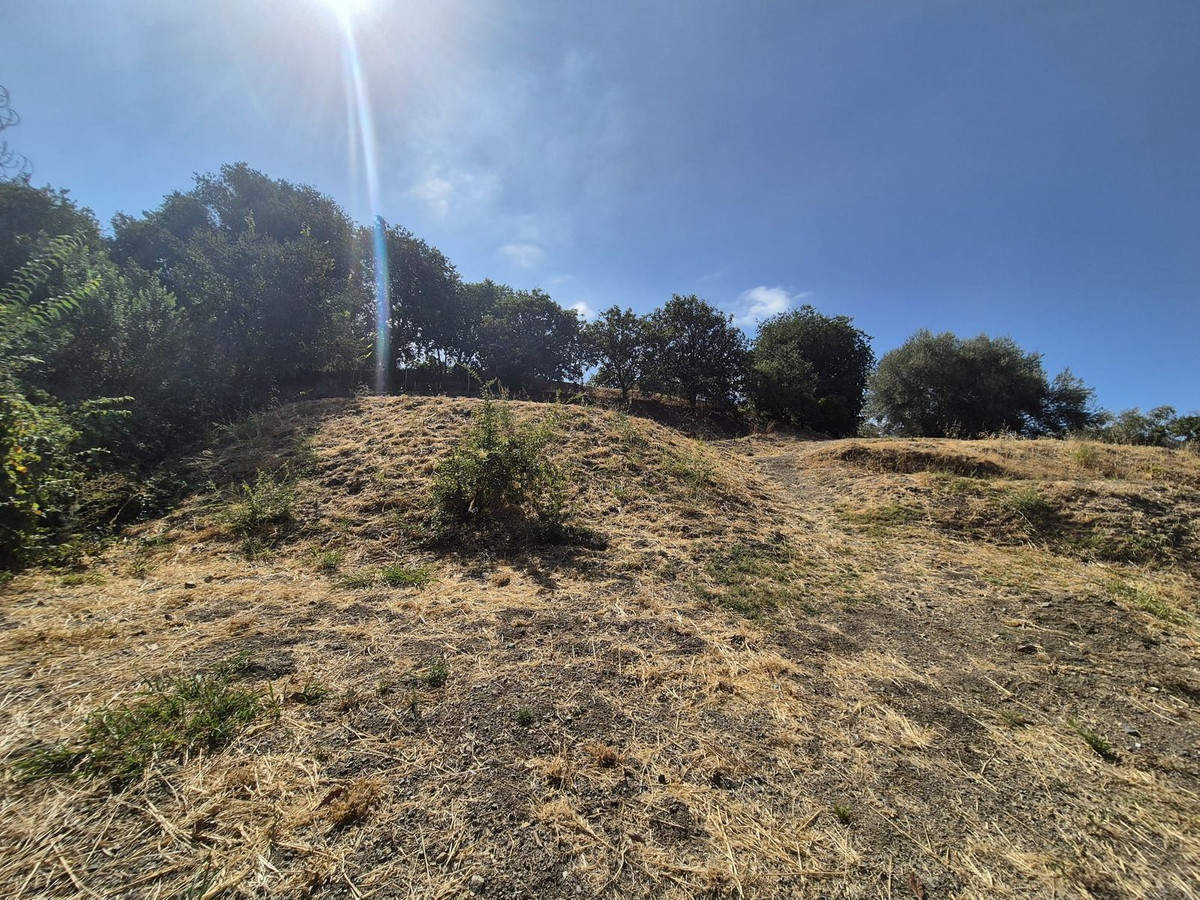 Property main view 65