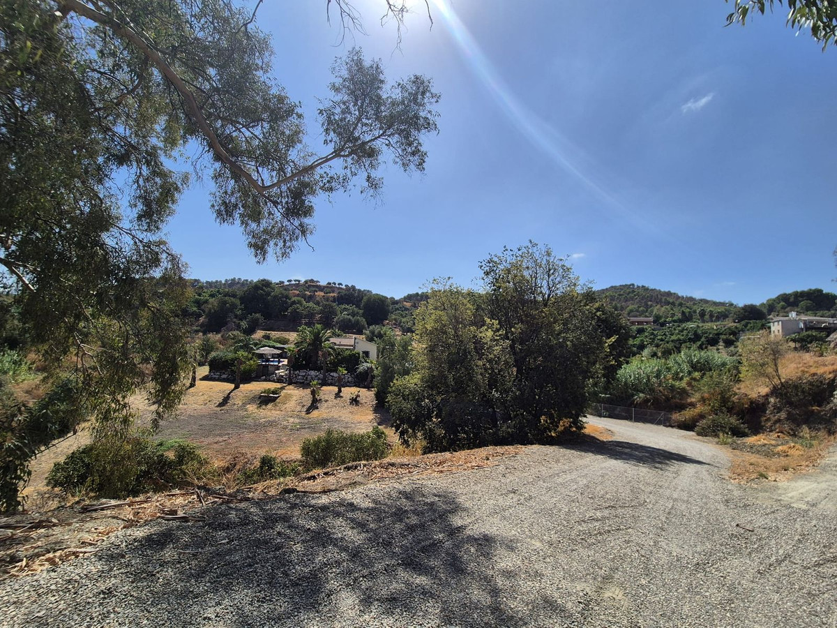 Property main view 80