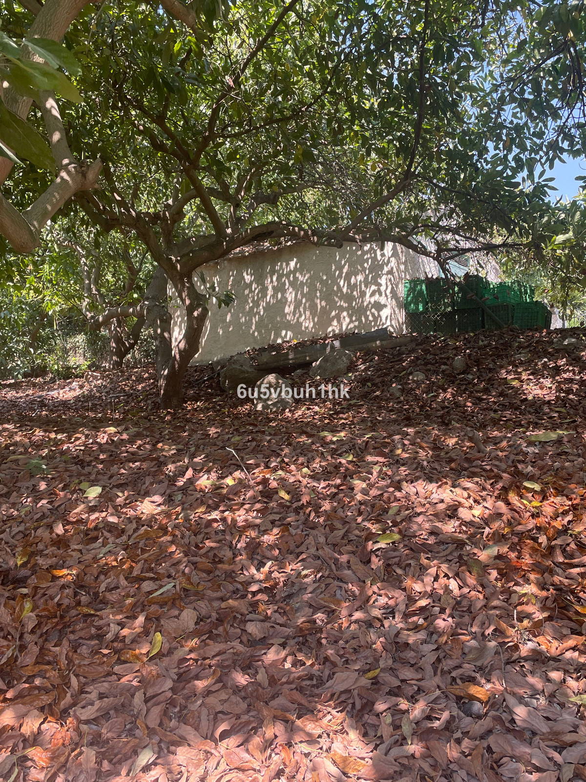 Property main view 11