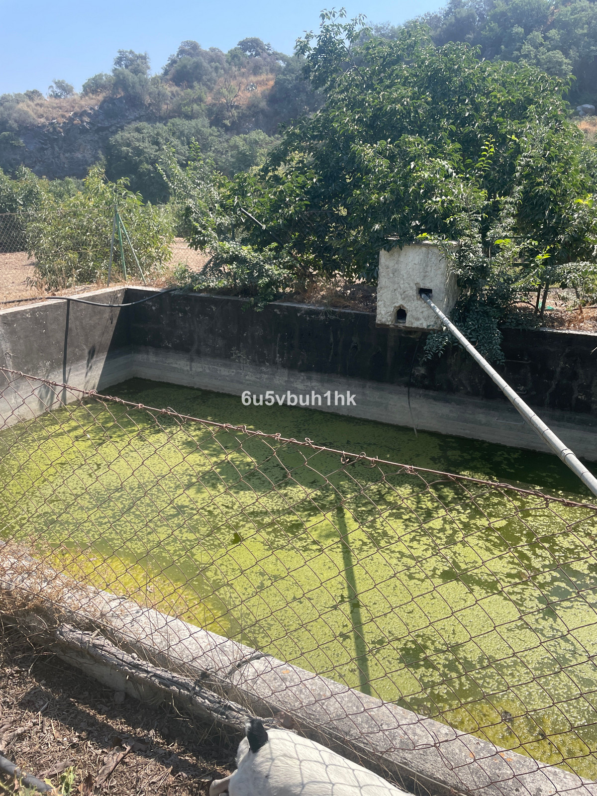 Property main view 14