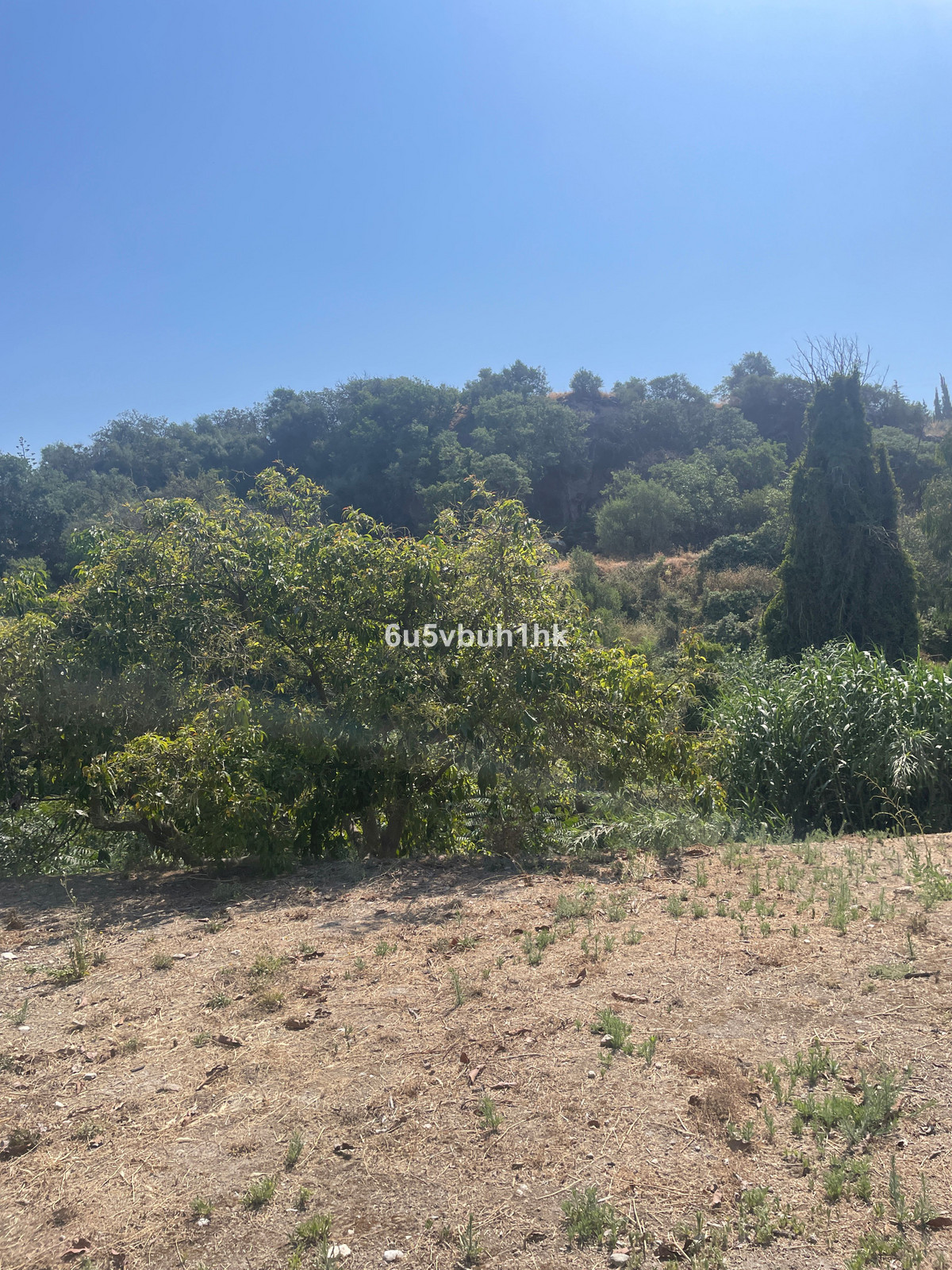 Property main view 5