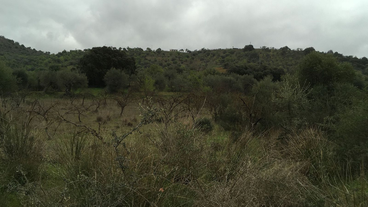 Property main view 2