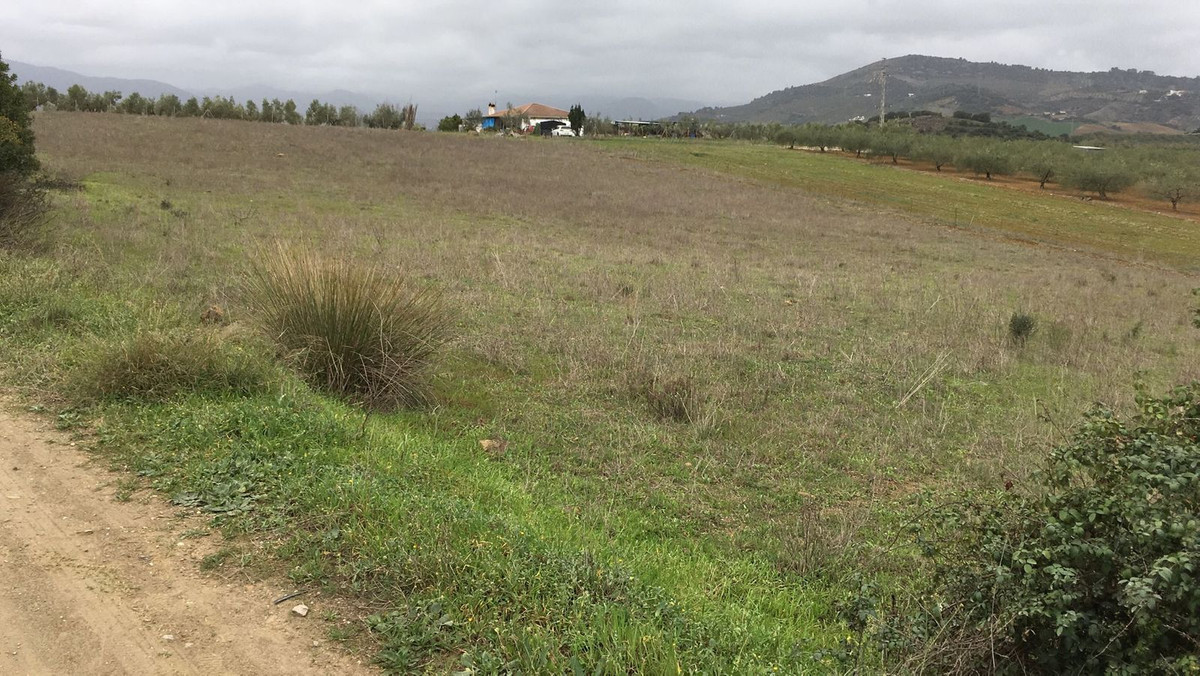 Property main view 4