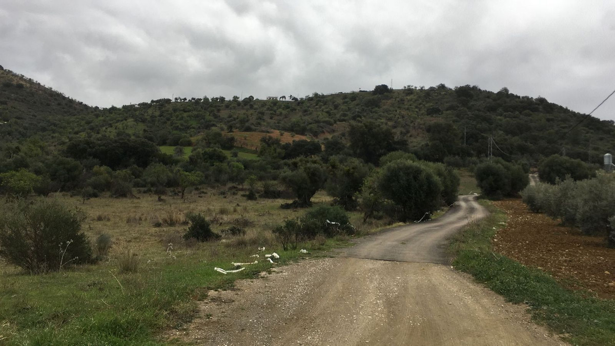 Property main view 6