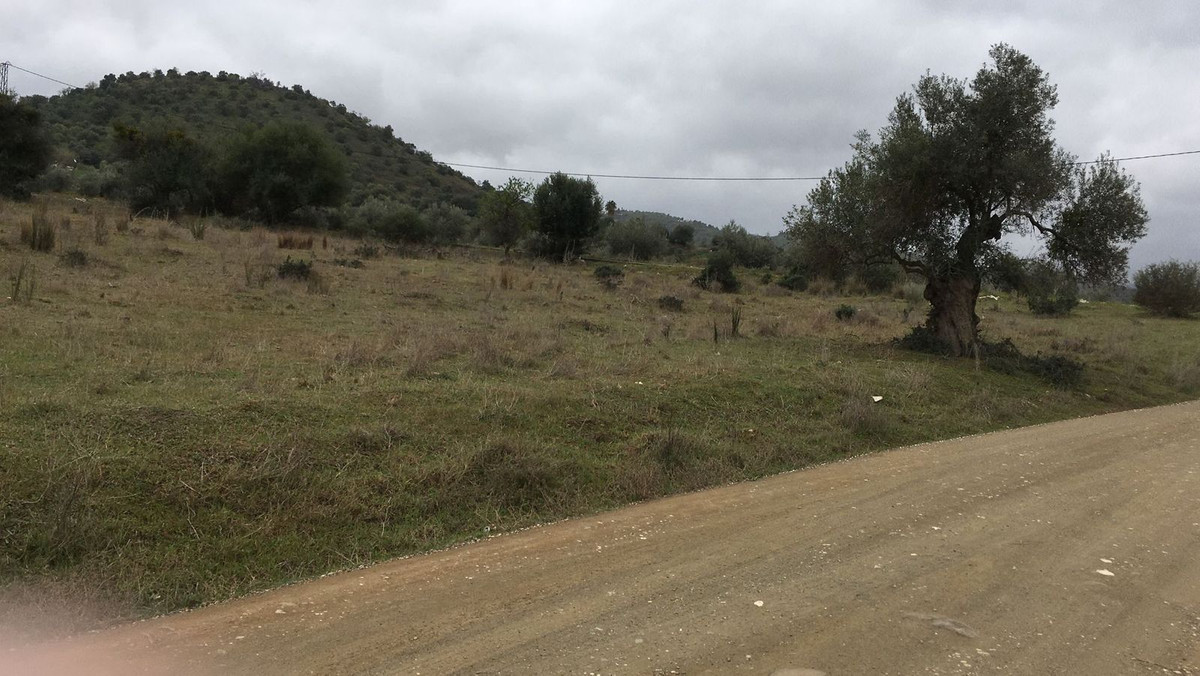 Property main view 8