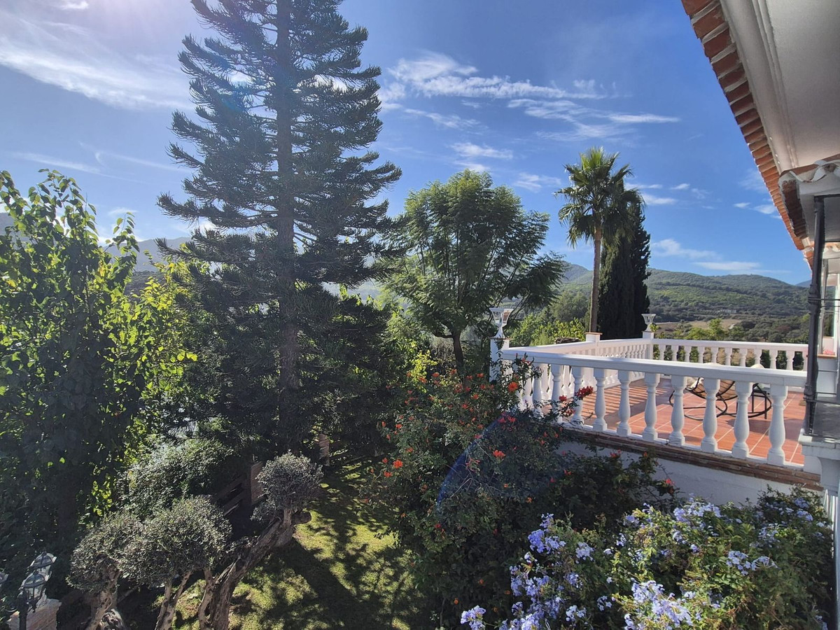 Property main view 31