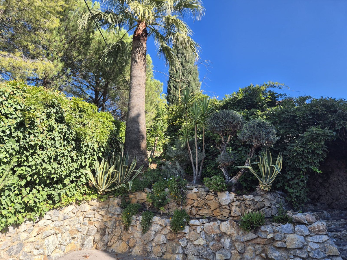 Property main view 58