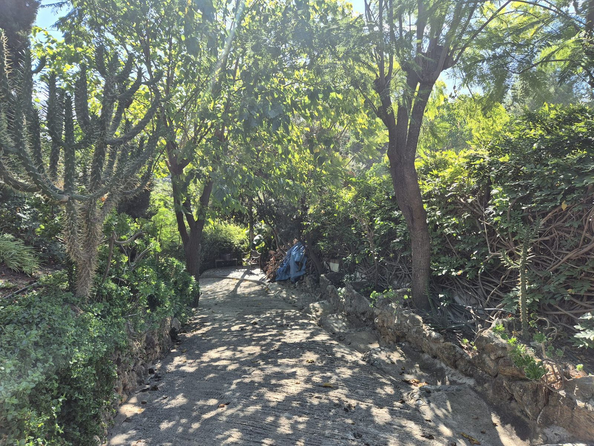 Property main view 59