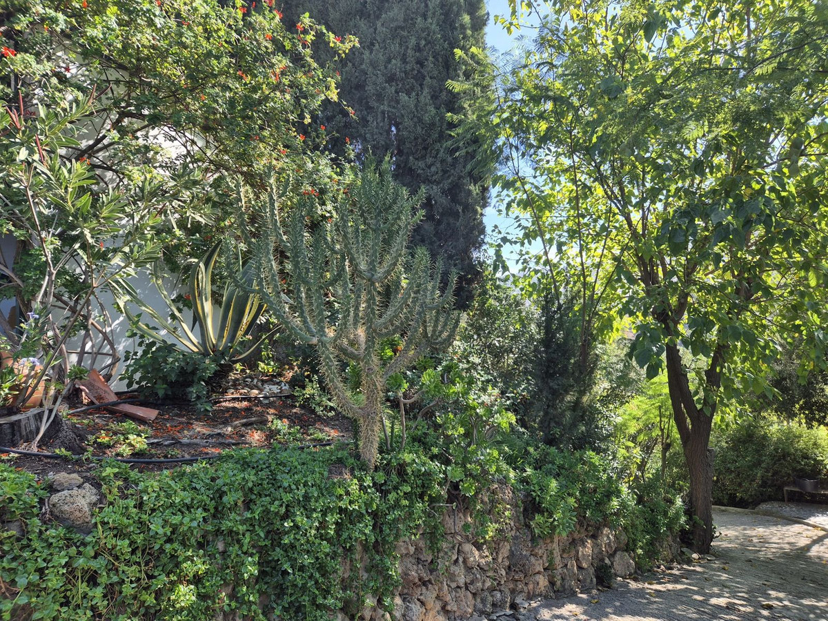 Property main view 60