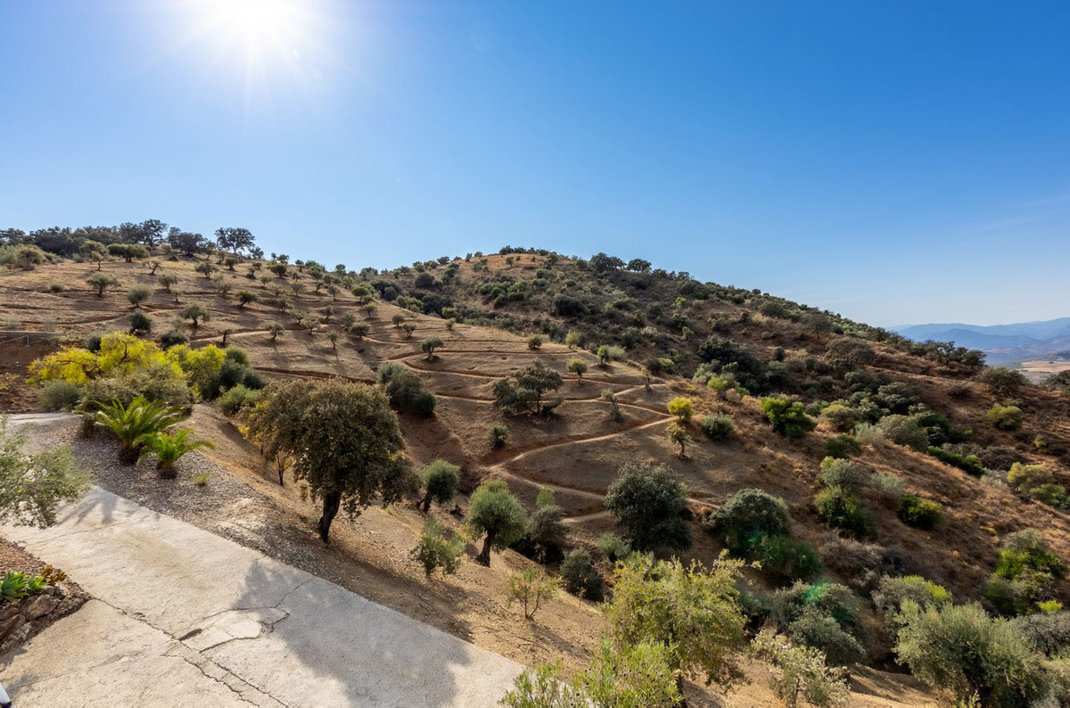 Property main view 48