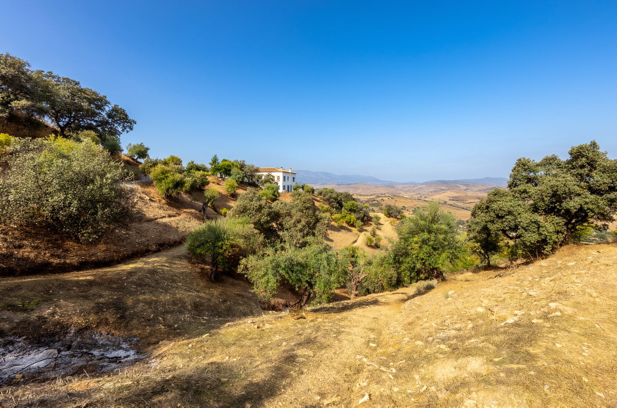 Property main view 50