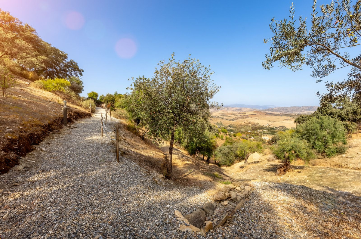 Property main view 51