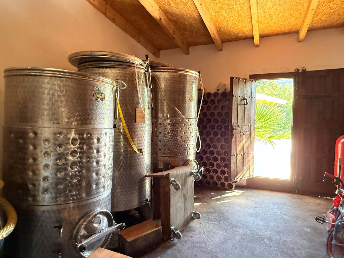 Property main view 50