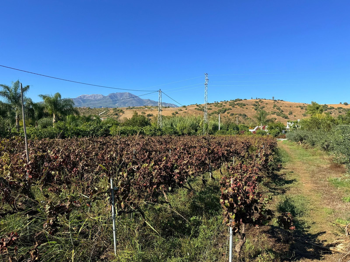 Property main view 51