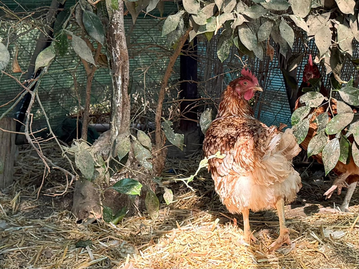 Property main view 53