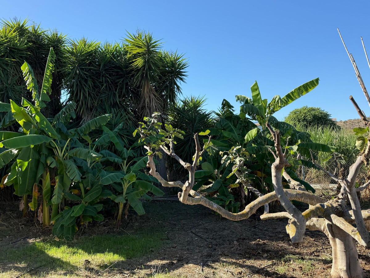 Property main view 54