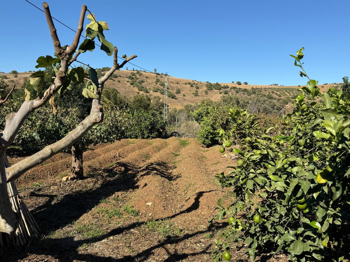 Property main view 55