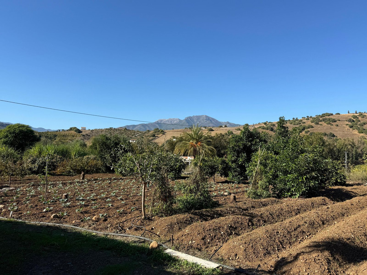 Property main view 56