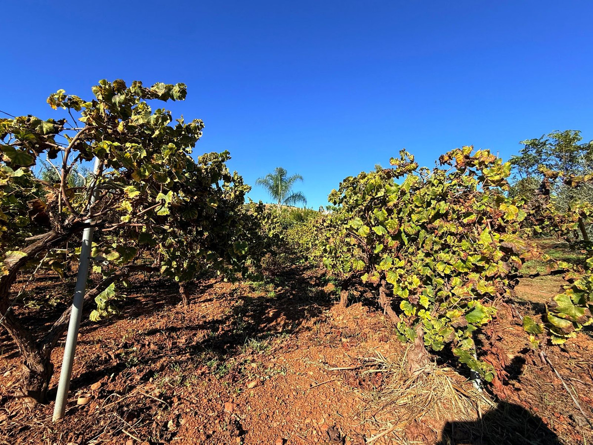 Property main view 57