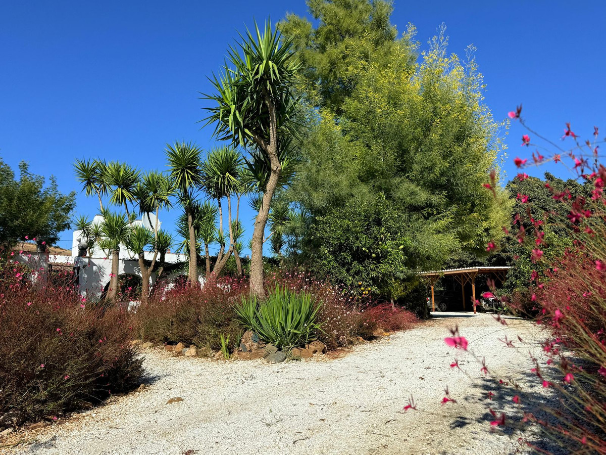 Property main view 59