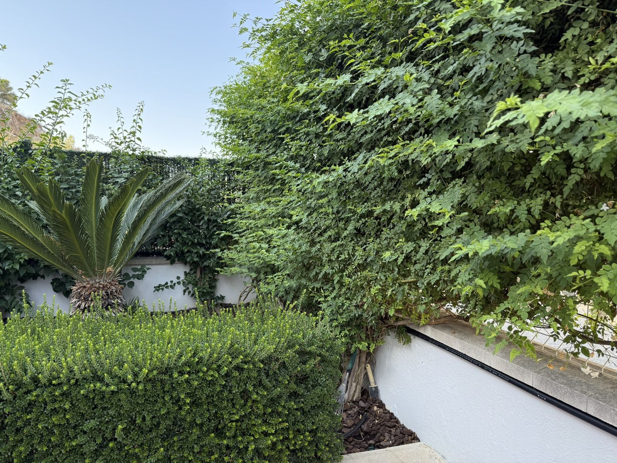 Property main view 31