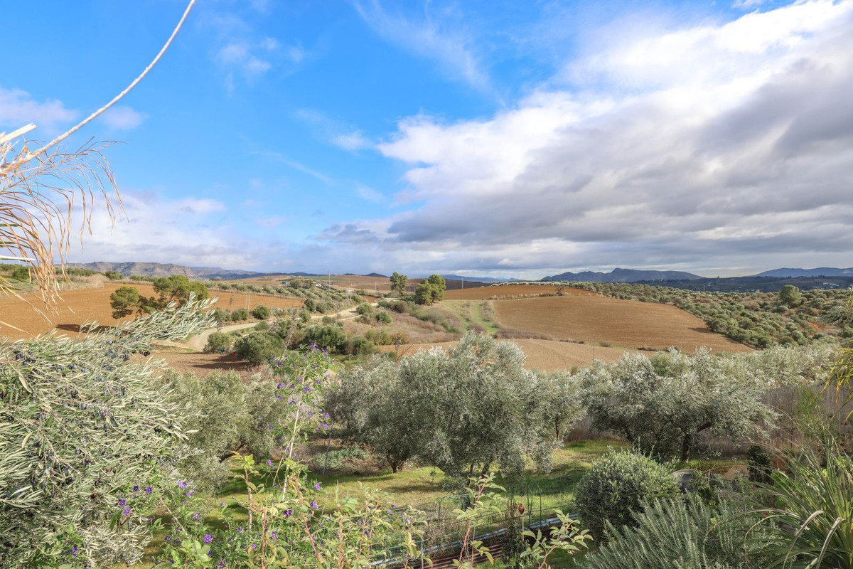 Property main view 3