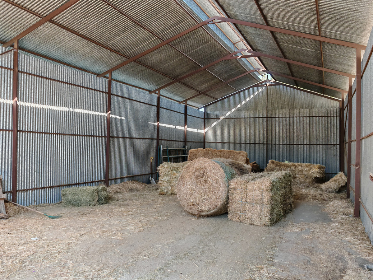 Finca - Cortijo te koop in Coín | 4 slaapkamers H5255134