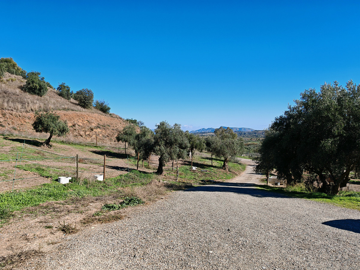 Finca - Cortijo te koop in Coín | 4 slaapkamers H5255134