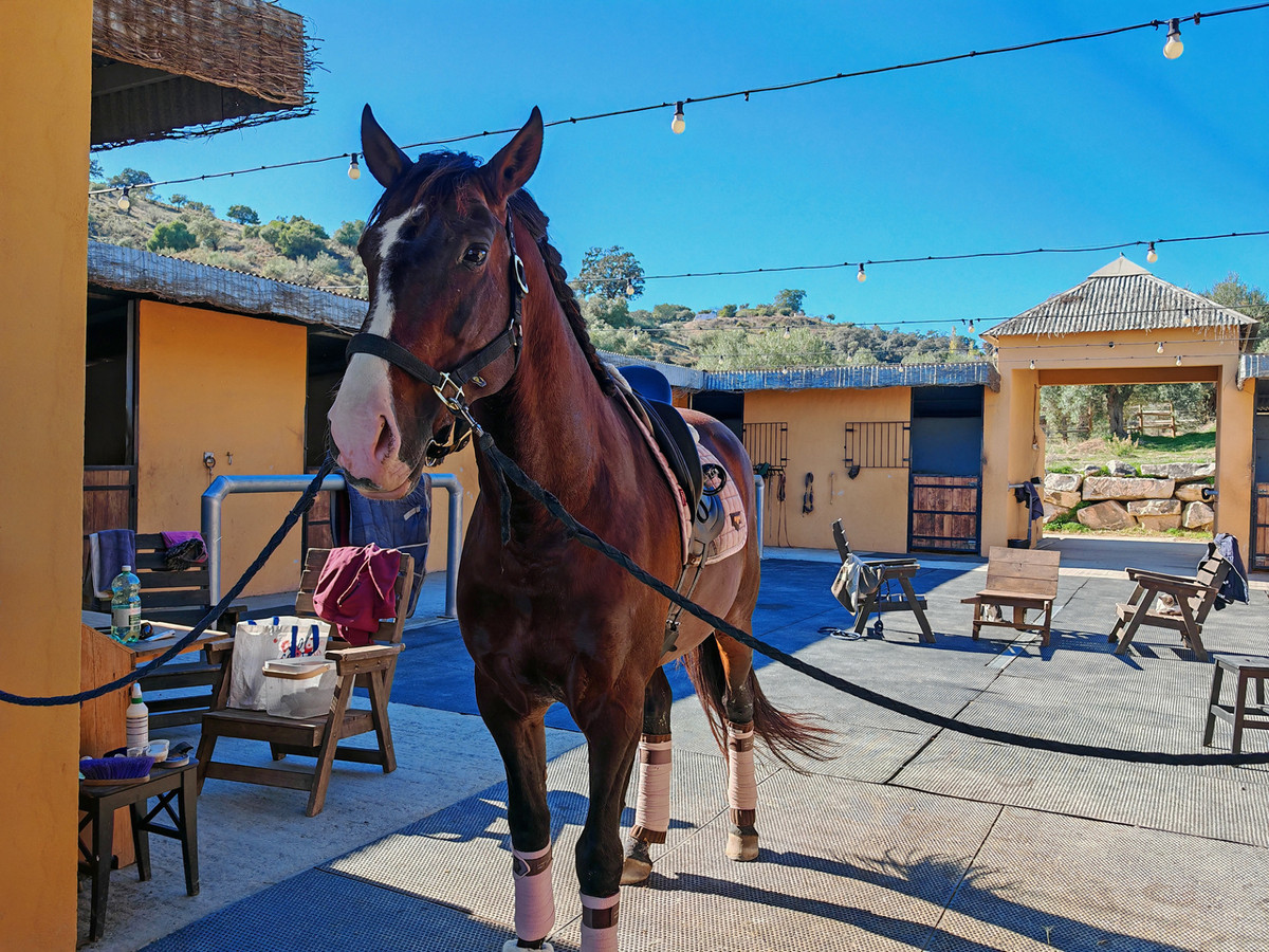 Finca - Cortijo te koop in Coín | 4 slaapkamers H5255134