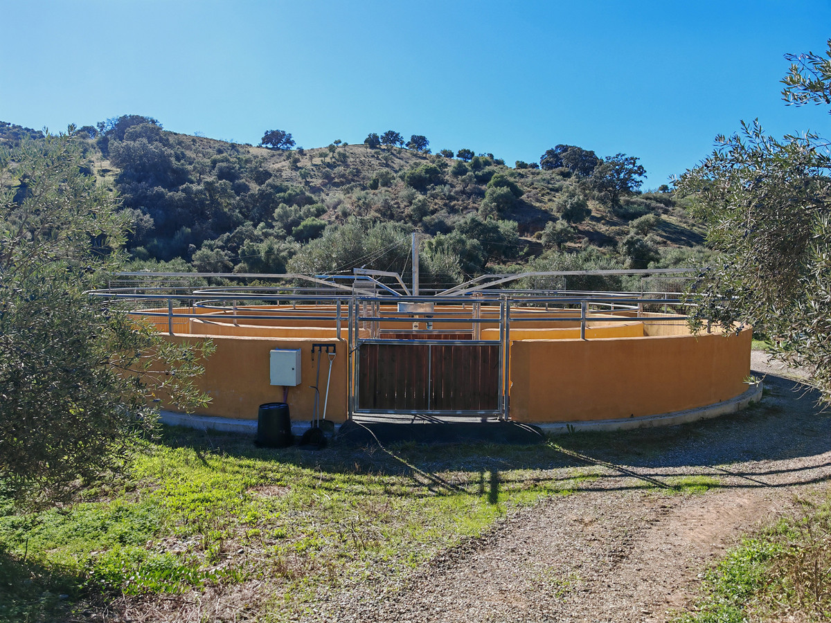 Finca - Cortijo te koop in Coín | 4 slaapkamers H5255134