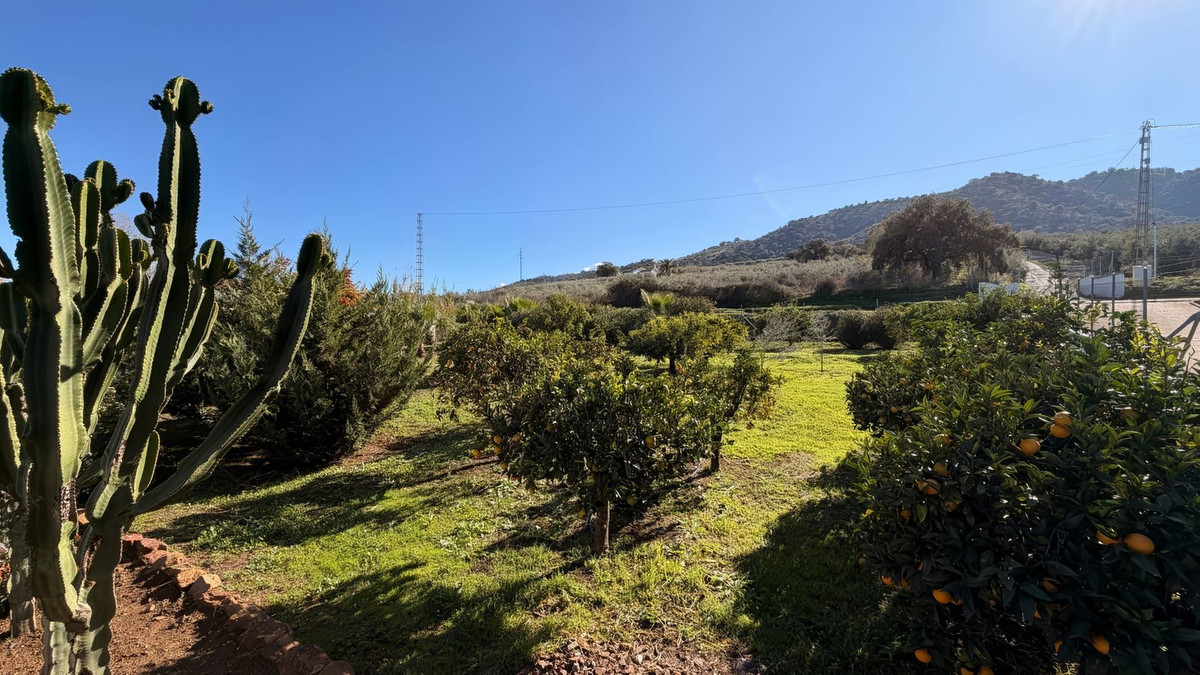 Finca - Cortijo te koop in Coín | 3 slaapkamers H5255728