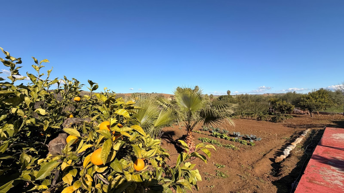 Finca - Cortijo te koop in Coín | 3 slaapkamers H5255728