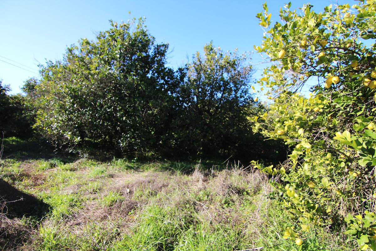 Finca - Cortijo te koop in Coín | 2 slaapkamers H5264887