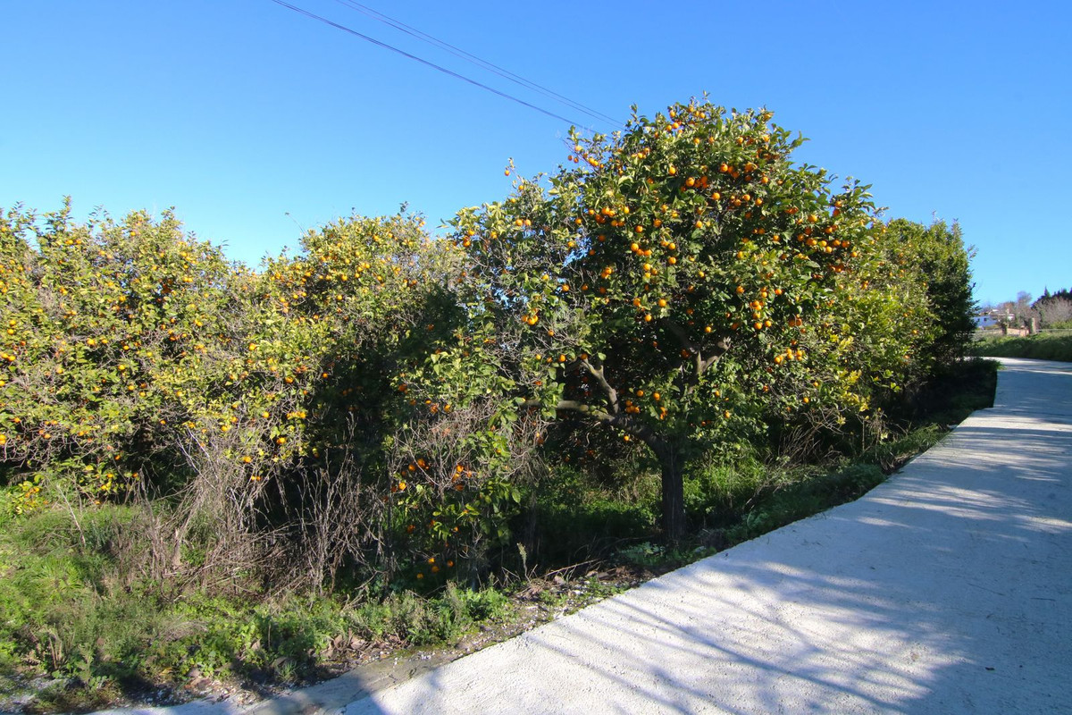 Finca - Cortijo te koop in Coín | 2 slaapkamers H5264887