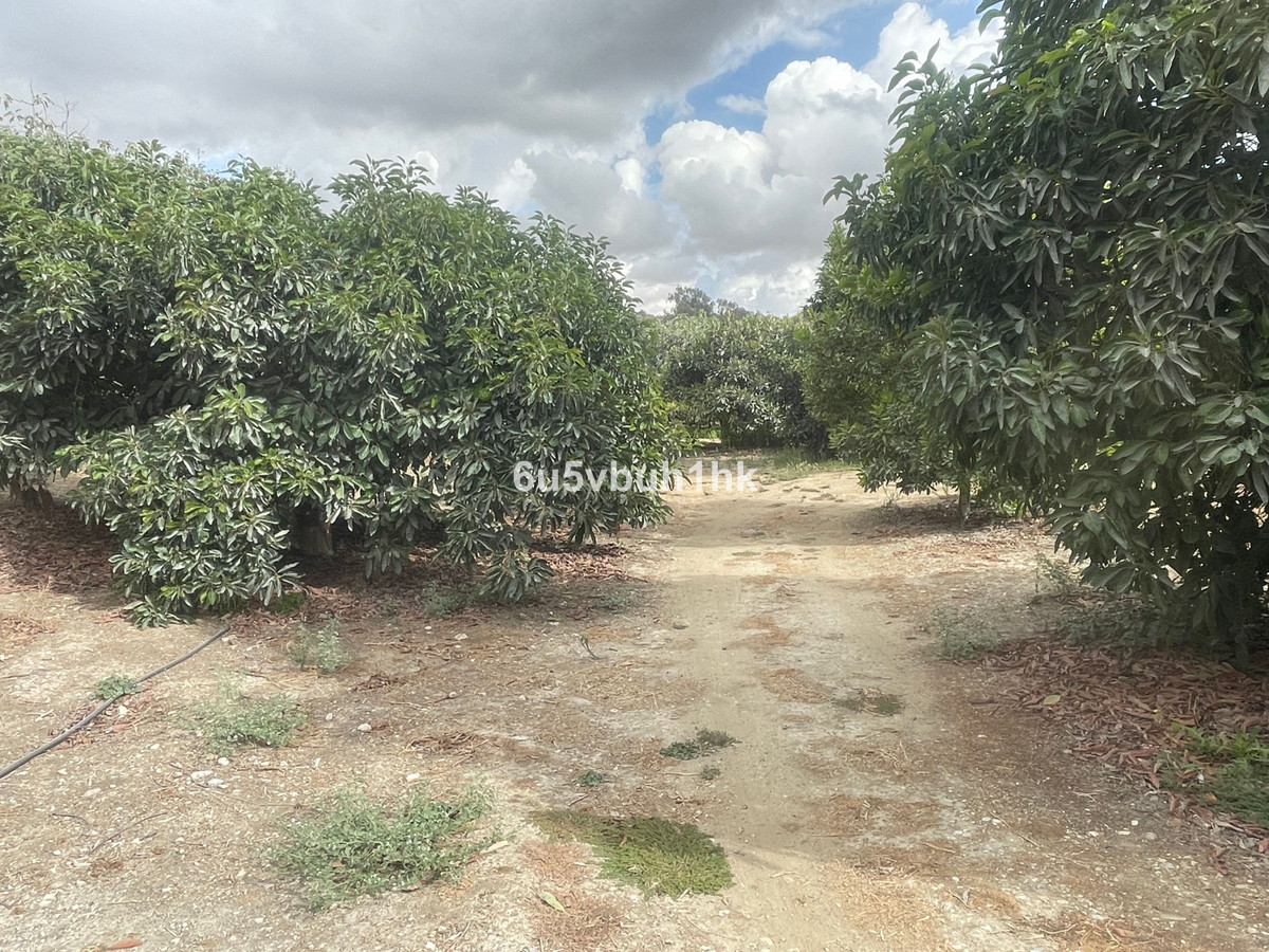 Property main view 10