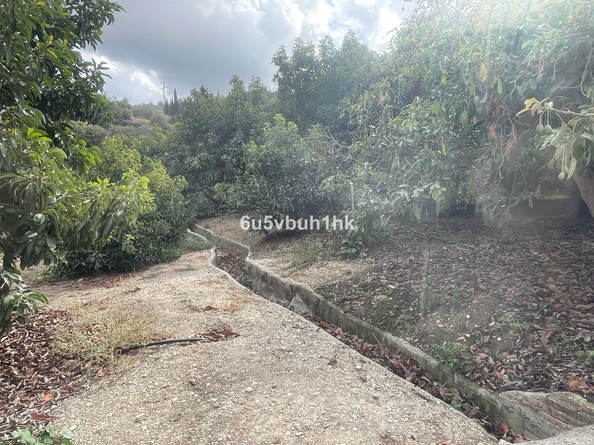 Property main view 11