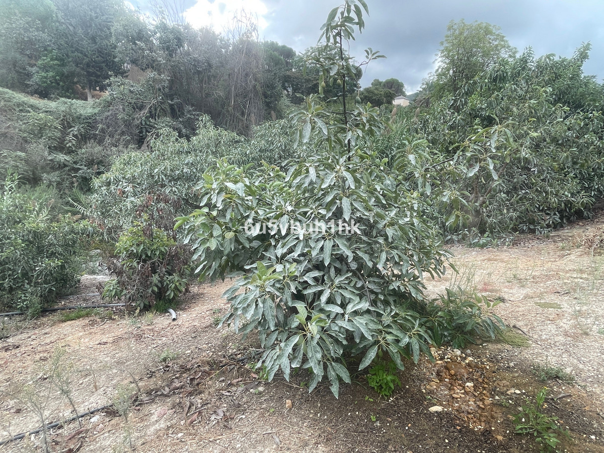 Property main view 12