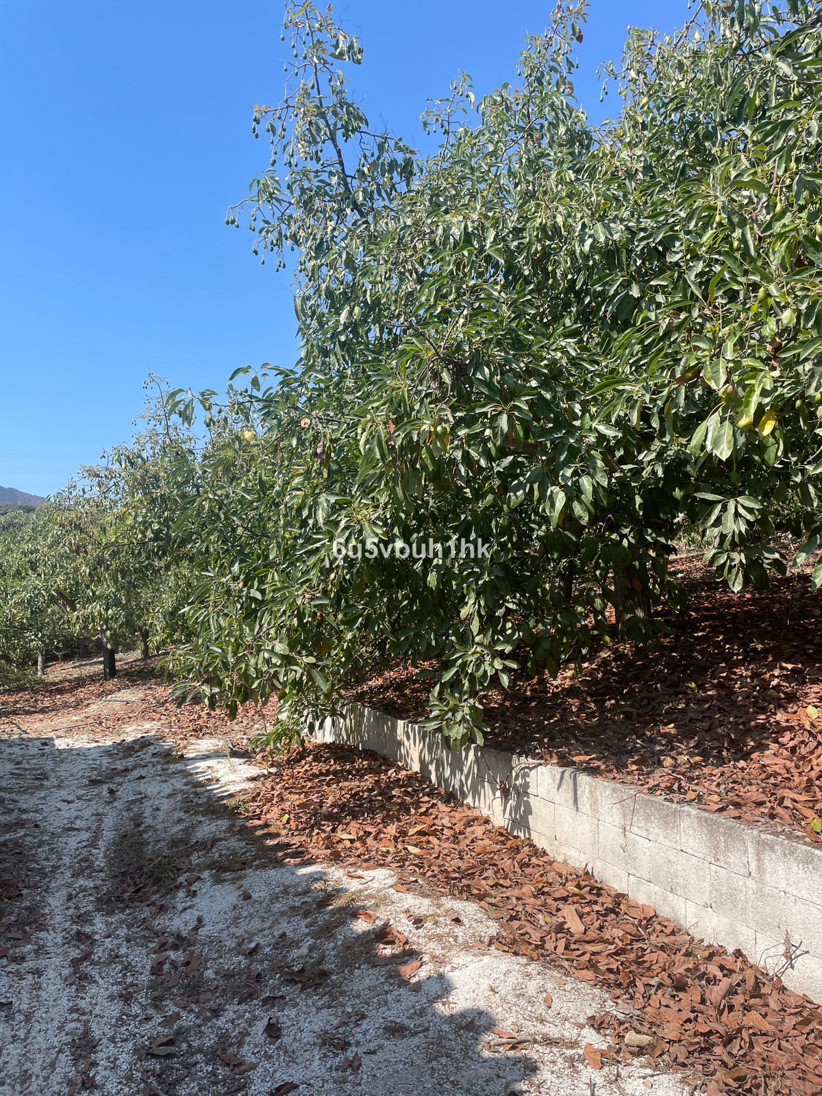 Property main view 16