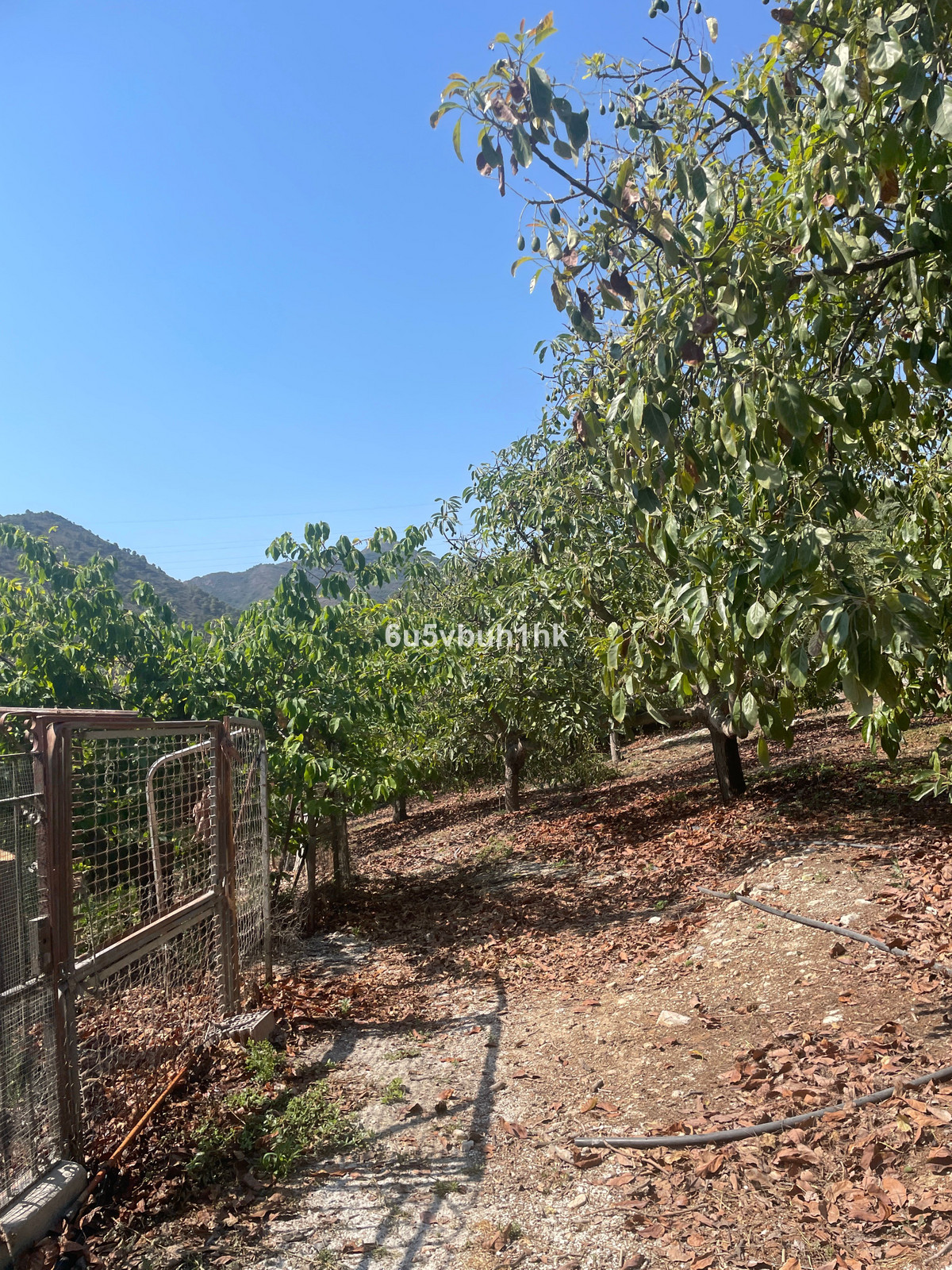 Property main view 18