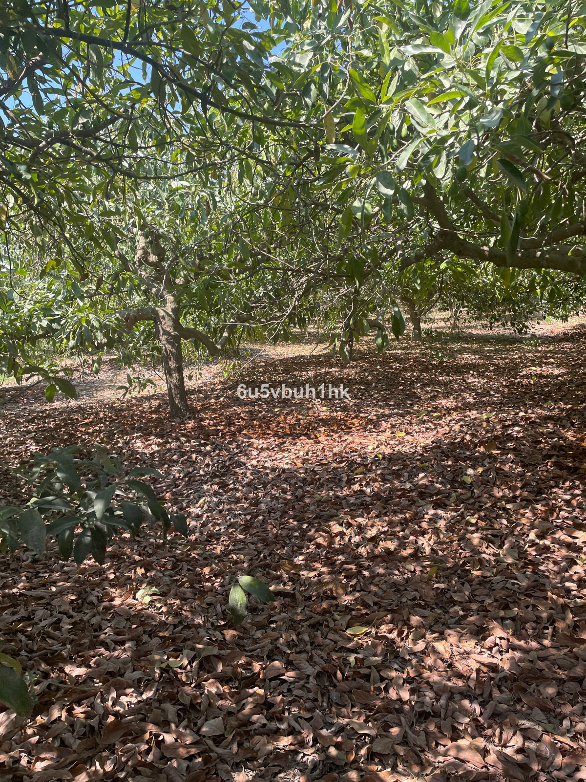 Property main view 19