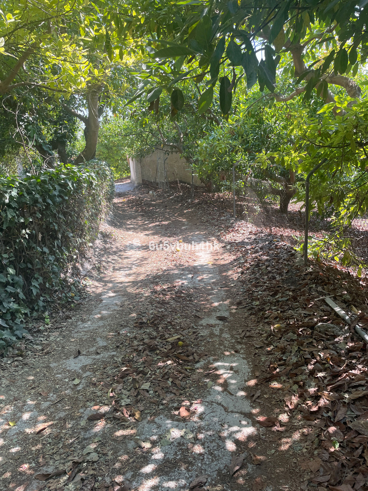 Property main view 20