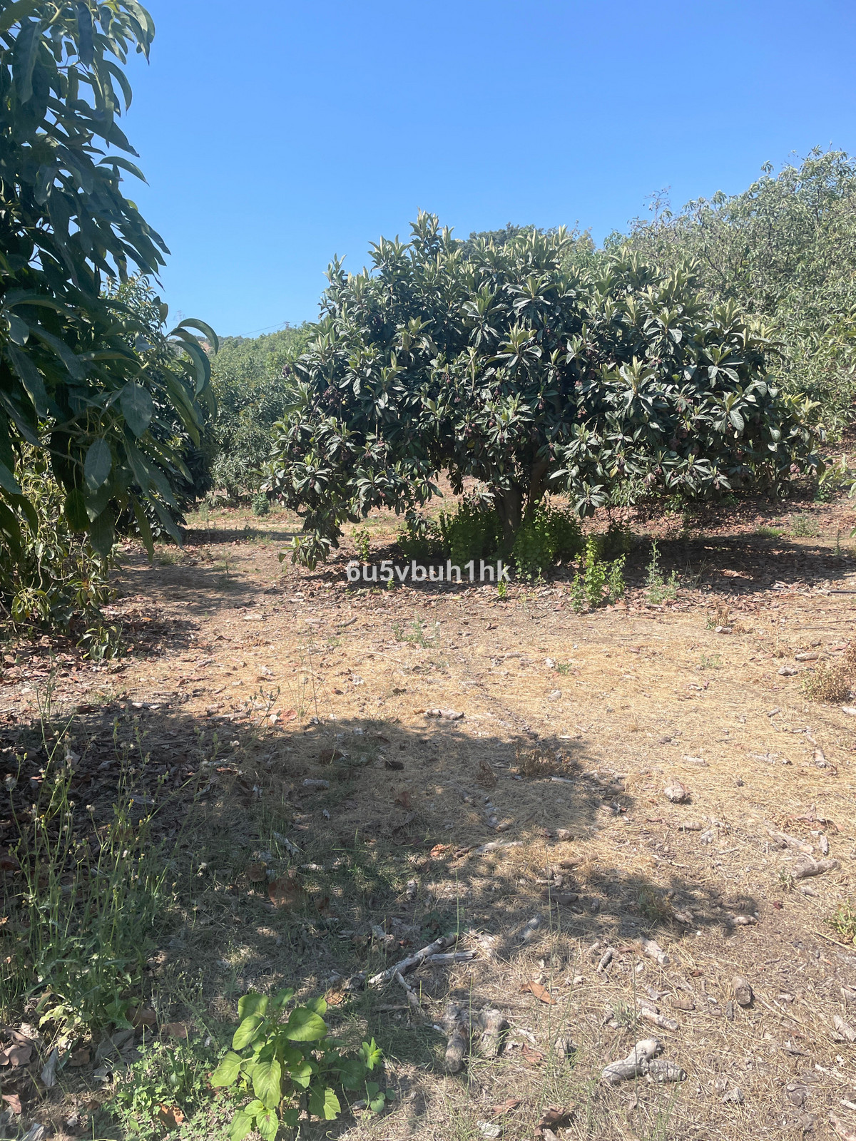 Property main view 22