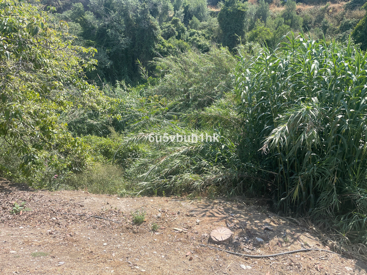 Property main view 23