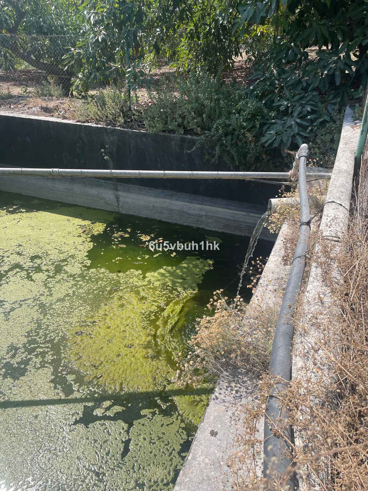 Property main view 25