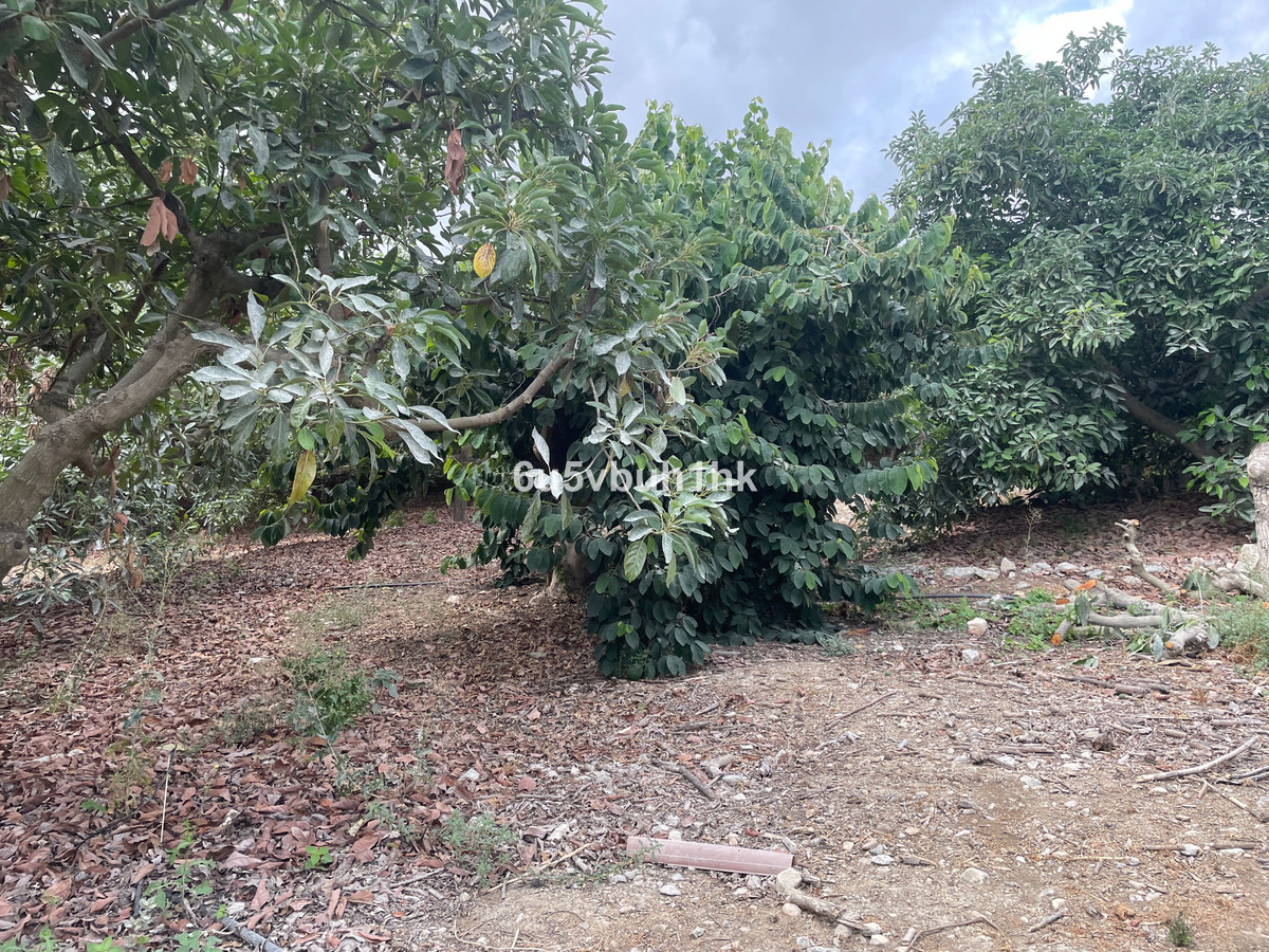 Property main view 4