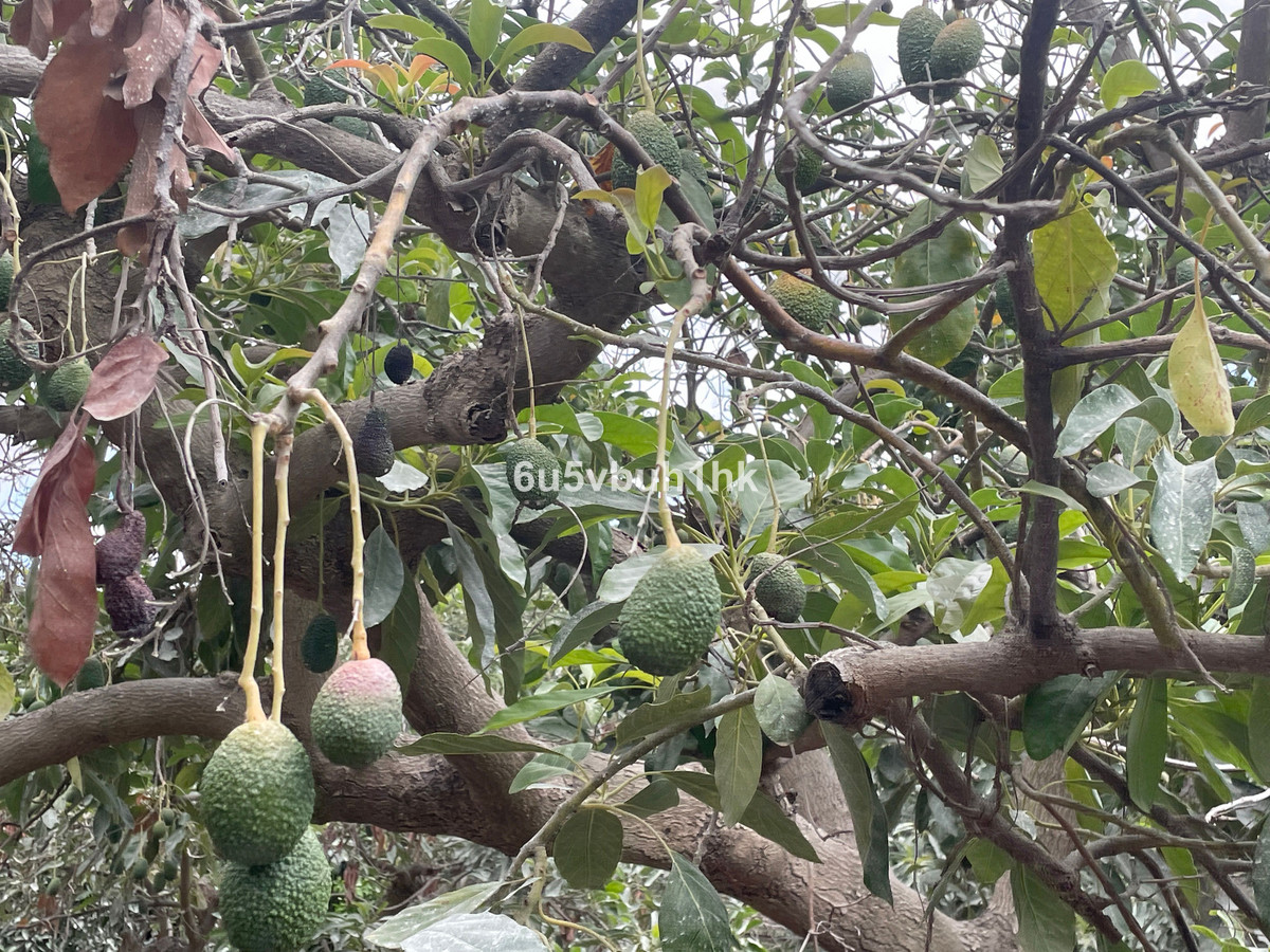 Property main view 6