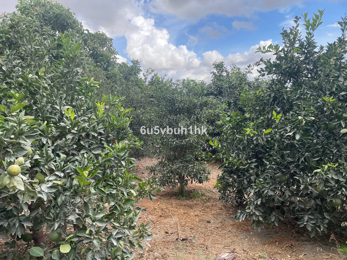 Property main view 7