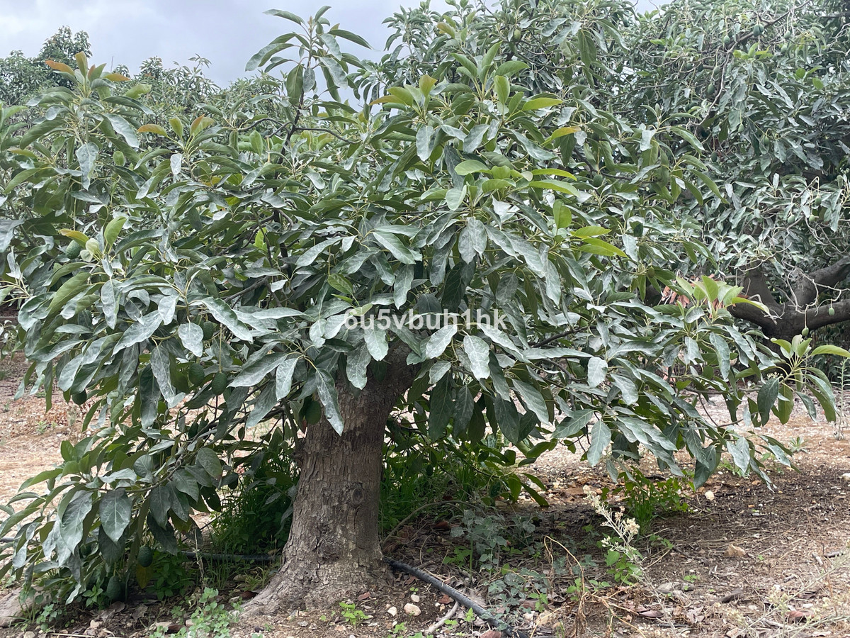 Property main view 9